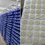 ದುಬಾರಿಯಾದ ರೇಷ್ಮೆ ಚಾಕಿ ಹುಳ, ಕಂಗಾಲಾದ ರೇಷ್ಮೆ ಬೆಳೆಗಾರರು