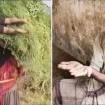 ಕದಡುವ ಭಾವನೆಗಳು ಮತ್ತು ವಾಸ್ತವ………