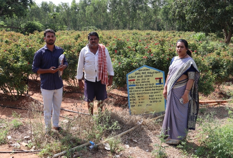 ಹಾಡೋನಹಳ್ಳಿ ಗ್ರಾಮ ಪಂಚಾಯಿತಿಗೆ ಸಿಇಓ ಭೇಟಿ,ಪರಿಶೀಲನೆ