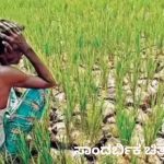 ಬೆಳೆ ವಿಮೆ ನೋಂದಣಿಗೆ ಜು.31 ಕೊನೆ ದಿನ