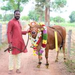 ಮನೆಯಲ್ಲಿ ಸಾಕಿದ್ದ “ಸೀತೆ” ಎಂಬ ಹಸುವಿಗೆ  ಅದ್ದೂರಿಯ ‘ಸೀಮಂತ’ ಪೂಜಾ ಕಾರ್ಯ