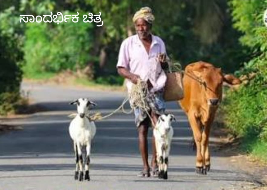 ಎಮ್ಮೆ, ಹಸು, ದನ, ಕುರಿ, ಮೇಕೆ ಕಾಯುತ್ತಾ….